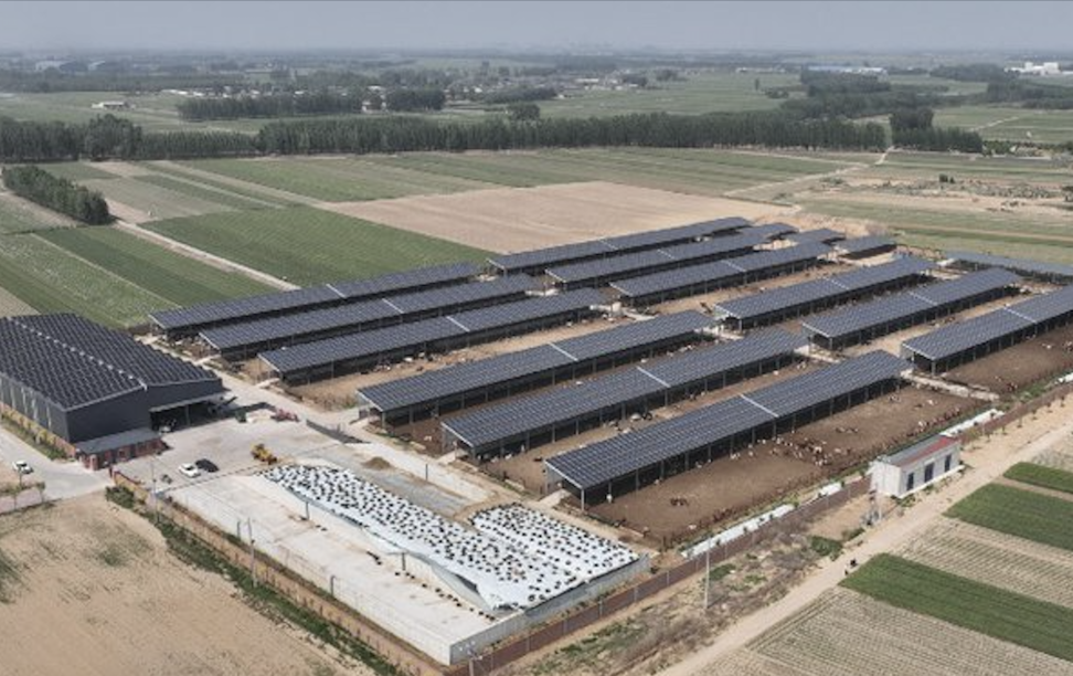 Image of solar panels and farm fields