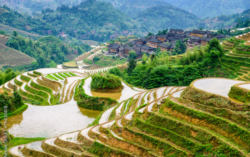 Guilin, China Rice Terraces By SeanPavonePhoto