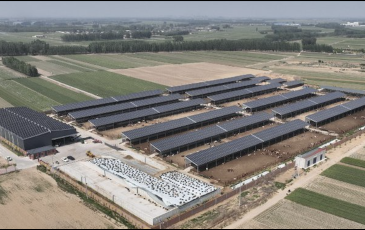 Image of solar panels and farm fields